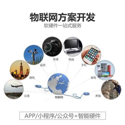 智能设备开发如何满足用户个性化需求——基于计算机软硬件的视角