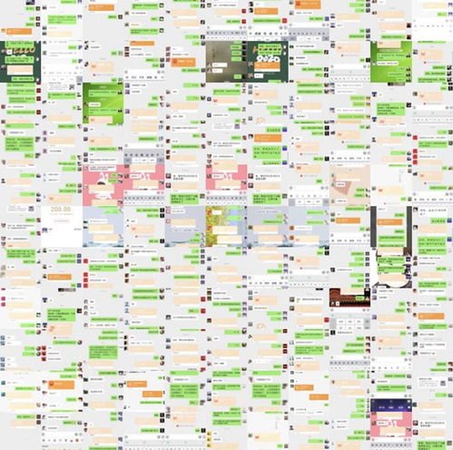 可罗雅墙布线上工厂直购会圆满落幕 创新营销，引领家装新消费